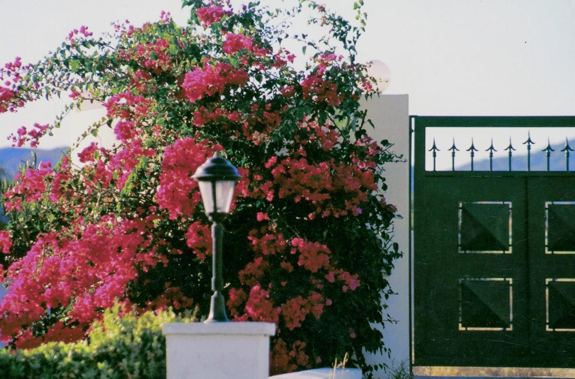 Beachfront Villa Rhodes Seashell Jenadi Zewnętrze zdjęcie